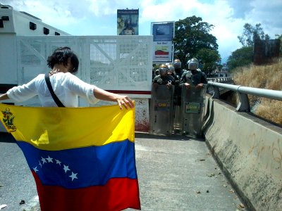 Venezuelan protester 2014