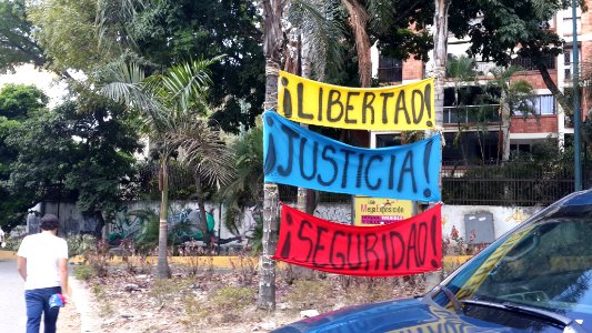Venezuelan protests 2014 Banners