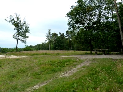Venlo-Grafheuvels Jammerdaalse Heide-heuvel g (1)