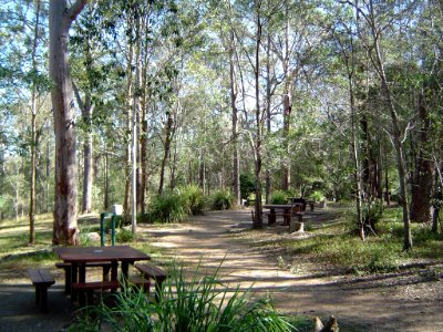 Venman Bushland National Park picnic area