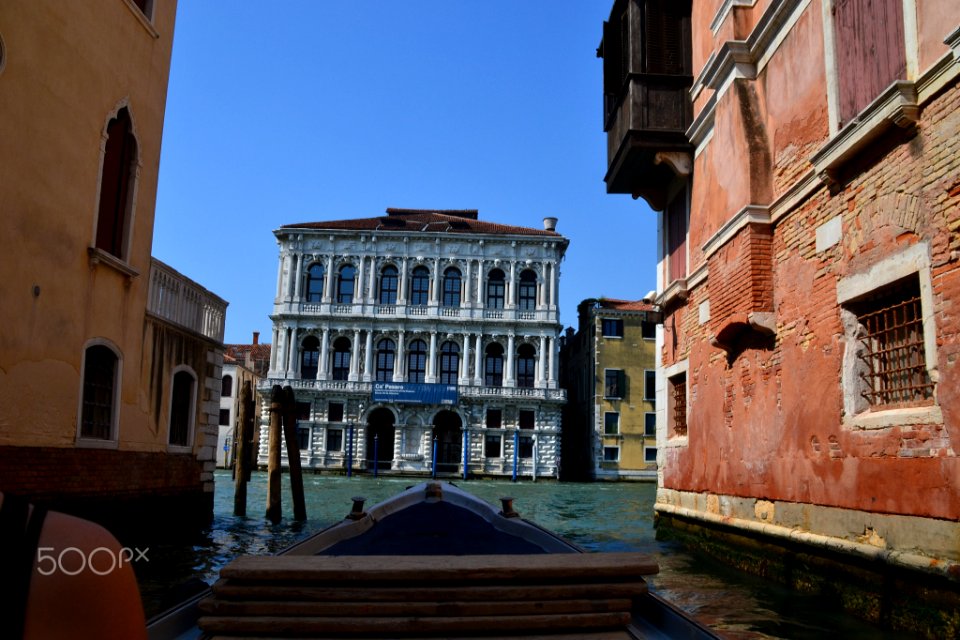 Venice Is My Future (161267707)