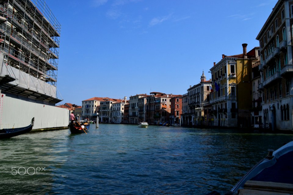 Venice Is My Future (161264599)