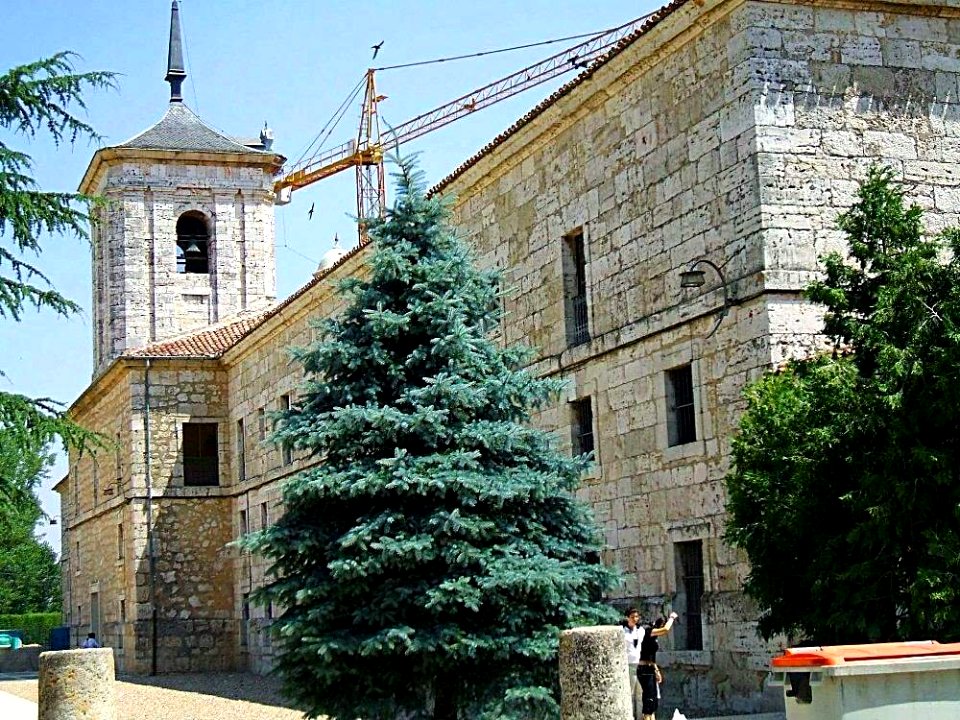 Venta de Baños - Monasterio de San Isidro de Dueñas (La Trapa) 2