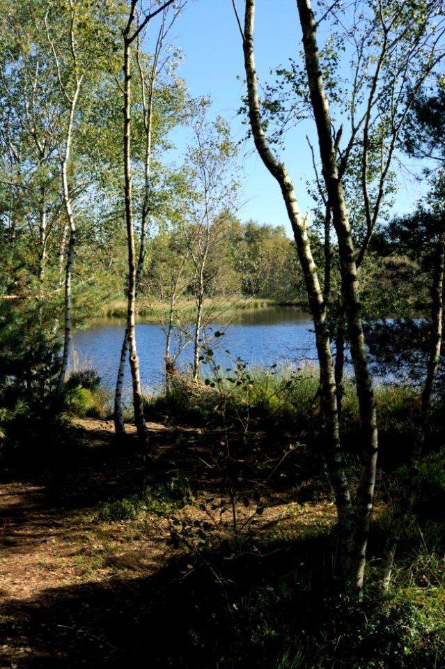 Venner Moor autumn (09)