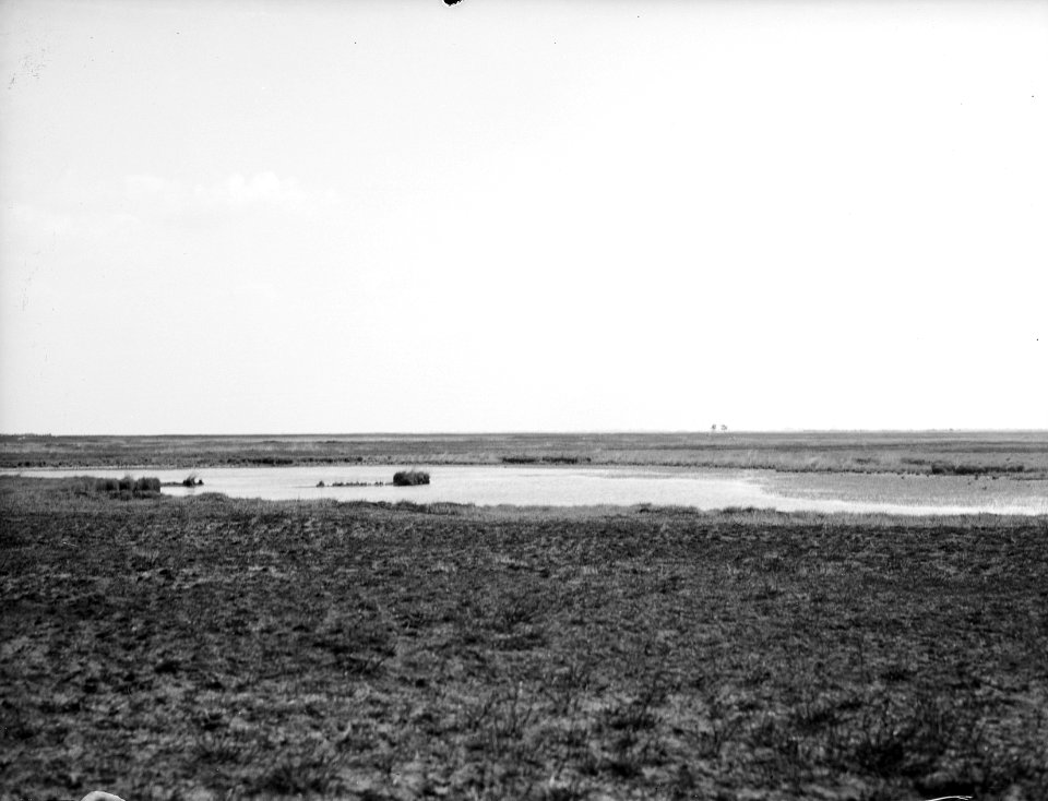 Vennen , de peel, Bestanddeelnr 192-0085