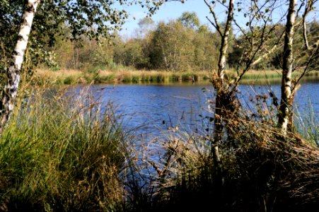 Venner Moor autumn (10)