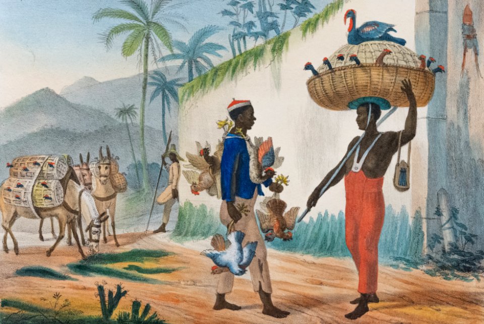 Vendedores Pájaro Negro by Jean Baptiste Debret (1768-1848, France)