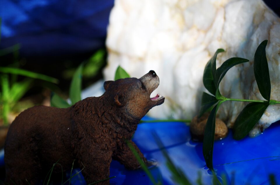 Toy still life a bear