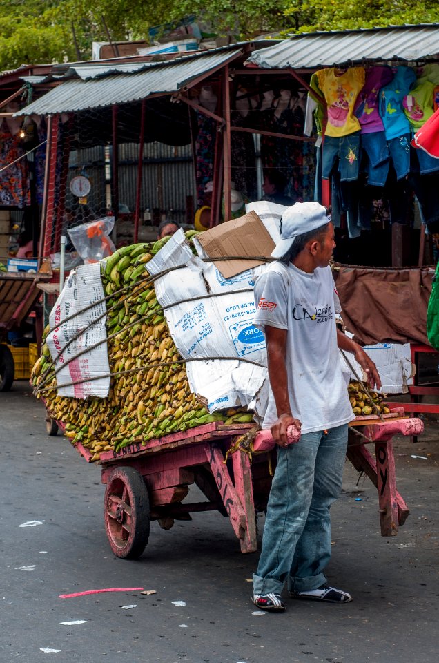 Vendor carrying their products to prepare