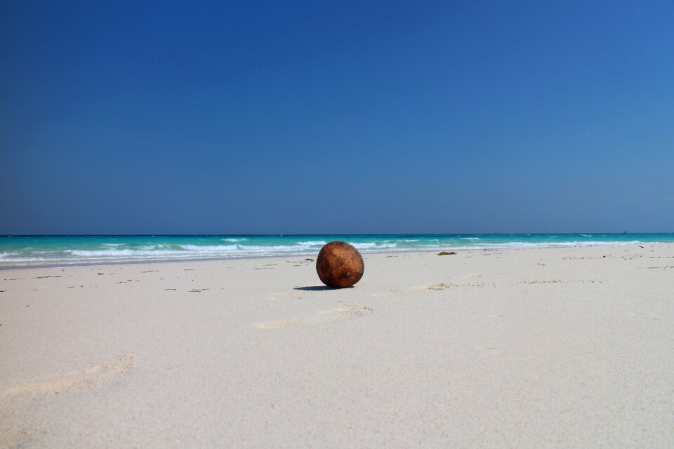 Palm island sand photo