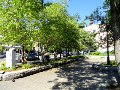 Vellucci Plaza, Inman Square - Cambridge, MA - DSC00536
