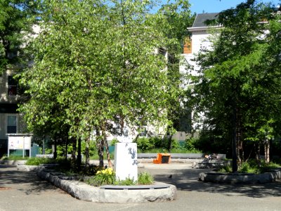 Vellucci Plaza, Inman Square - Cambridge, MA - DSC00534