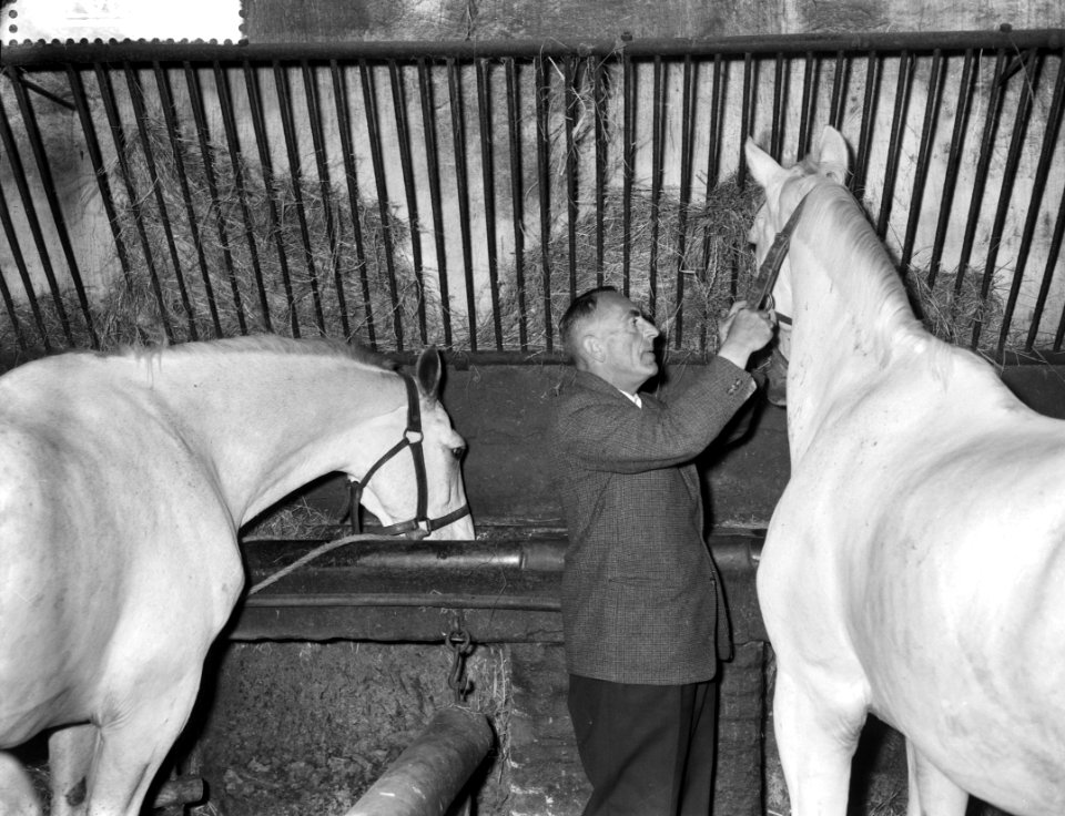 Veiling van de laatste stalhouderij te Amsterdam, Bestanddeelnr 910-6573
