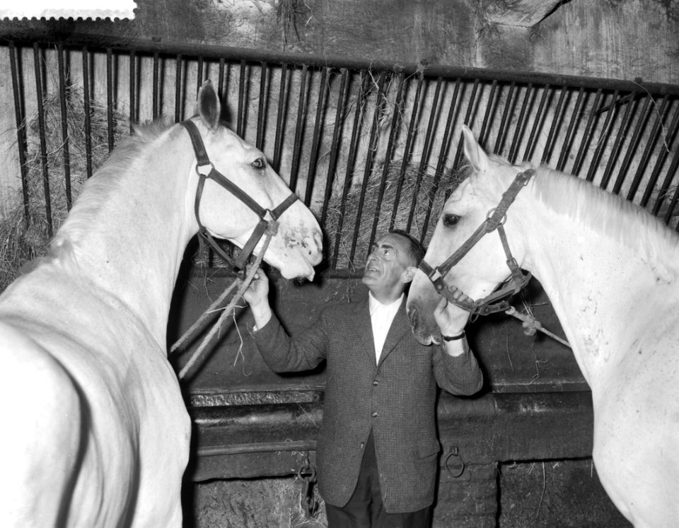 Veiling van de laatste stalhouderij te Amsterdam, Bestanddeelnr 910-6574