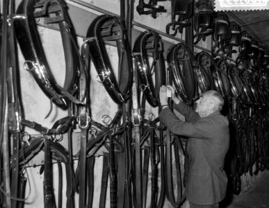 Veiling van de laatste stalhouderij te Amsterdam, Bestanddeelnr 910-6575
