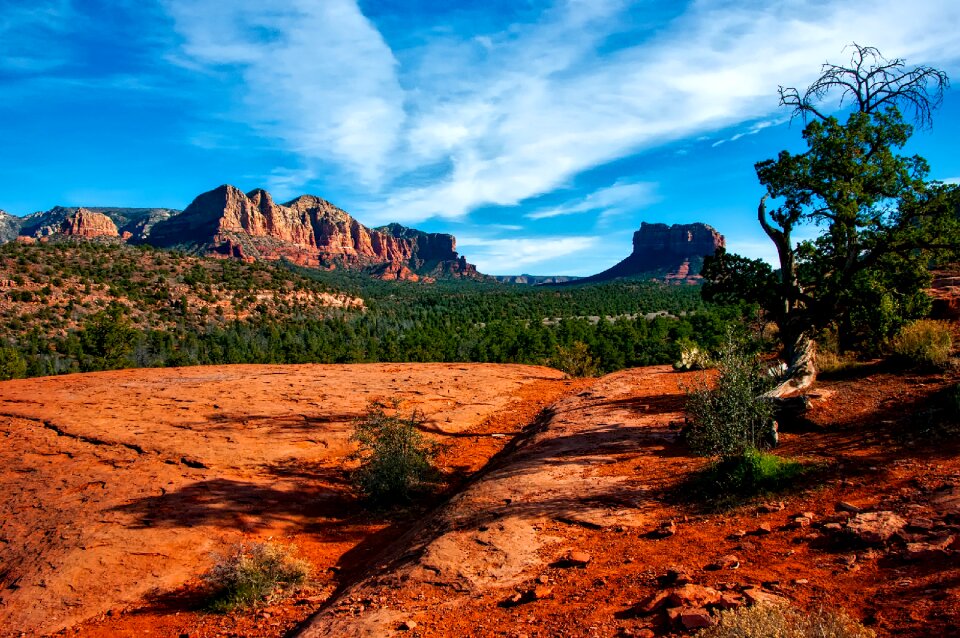 Scenic desert brush photo