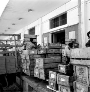 Vanuit vrachtwagens zijn arbeiders bezig met het in- en uitladen van fruitkisten, Bestanddeelnr 255-1915