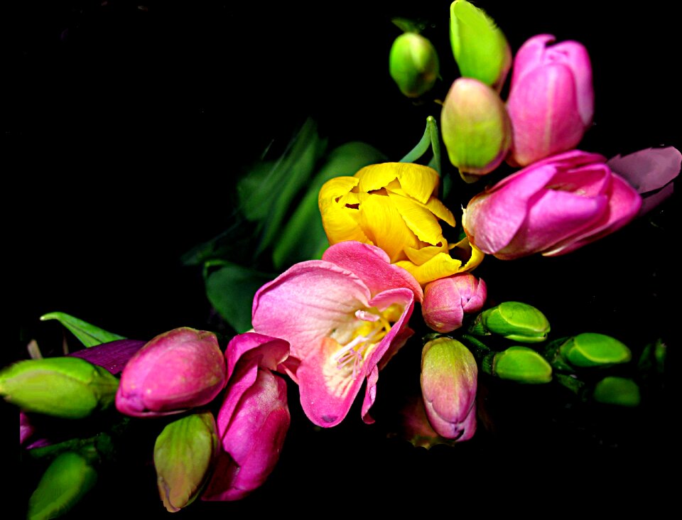 Bouquet ikebana color