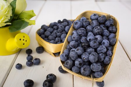Fruit fresh blue