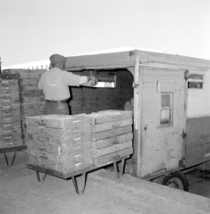 Vanuit een vrachtwagen zijn arbeiders bezig met het in- en uitladen van fruitkis, Bestanddeelnr 255-1916