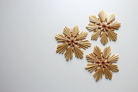 Poinsettia jewellery decoration photo