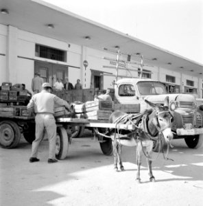 Vanuit een open kar met ezel, zijn arbeiders bezig met het in- en uitladen van f, Bestanddeelnr 255-1912 photo