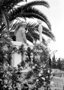 Van de Polls vrouw Nell Langlais in een tuin op Madeira, Bestanddeelnr 190-0175