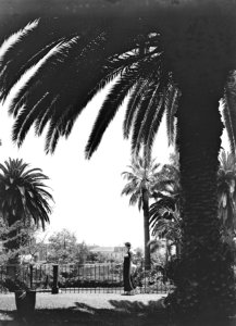 Van de Polls vrouw Nell Langlais in een palmentuin op Madeira, Bestanddeelnr 190-0168 photo