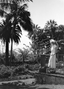 Van de Polls vrouw Nell Langlais in een palmentuin op Madeira, Bestanddeelnr 190-0169 photo
