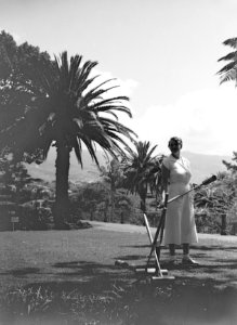 Van de Polls vrouw Nell Langlais bij het crocquetspel op Madeira, Bestanddeelnr 190-0166