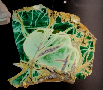 Varisite, Clay Canyon, Utah - Natural History Museum of Utah - DSC07453