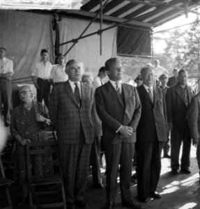 Vara-landdag in Berg en Bos . Burger, Brandt en Drees, Bestanddeelnr 912-6450