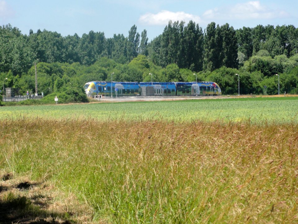Variscourt (Aisne) gare d'Agilcourt-Variscourt (04) un train TER Picardie sortant de la gare