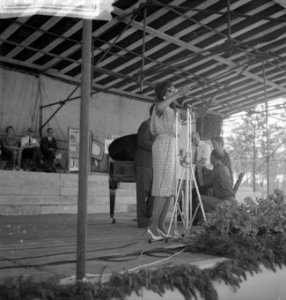 Vara-landdag in Berg en Bos . Optreden van Josephine Baker, Bestanddeelnr 912-6453