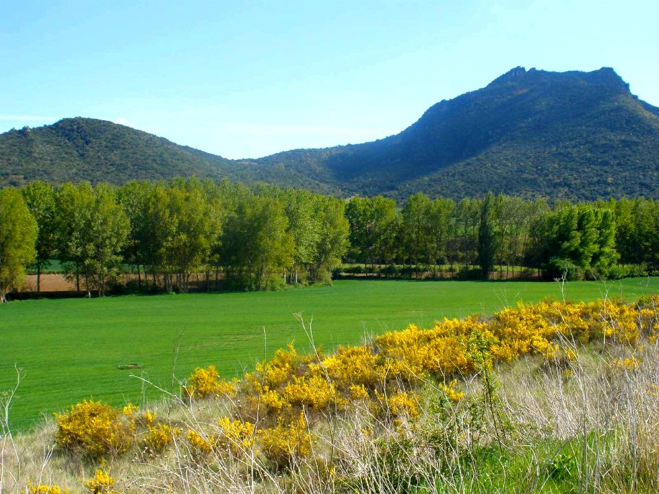 Valverde de Miranda, paisaje desde la carrtera de Orón 03