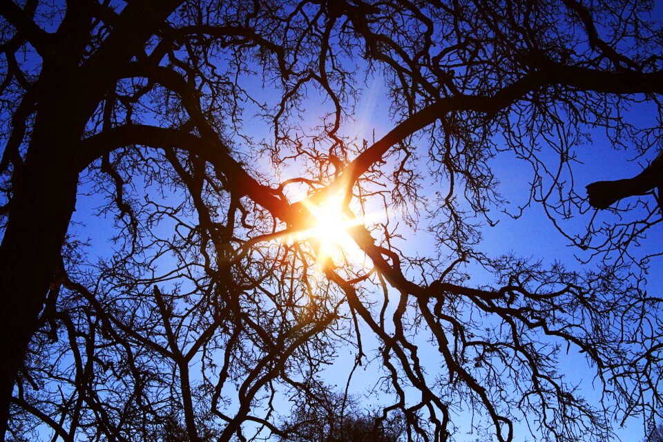 Nature light outdoor