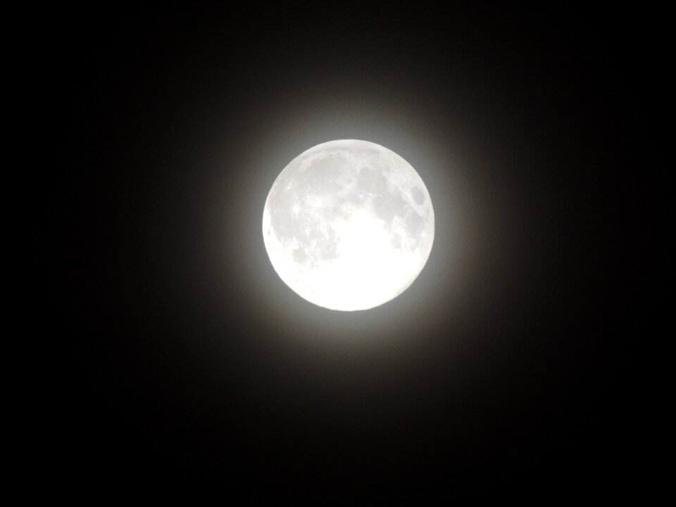 Night night sky big moon