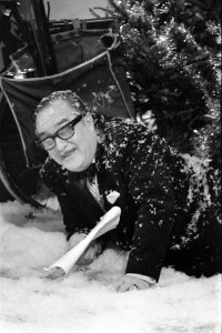 Van Oekel show van VPRO Sjefke van Oekel onder kerstboom, Bestanddeelnr 927-6262