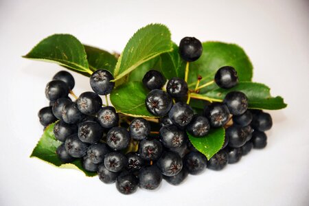 Vitamins nature foliage