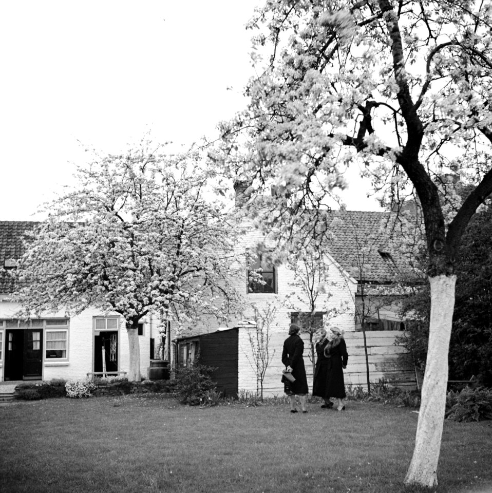 Van de Polls stiefdochters Renée en Hans en een onbekende vrouw in de tuin van d, Bestanddeelnr 252-1913