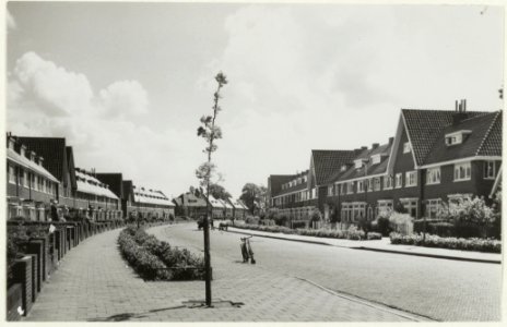 Van Dalenlaan in Santpoort. NL-HlmNHA 54010589
