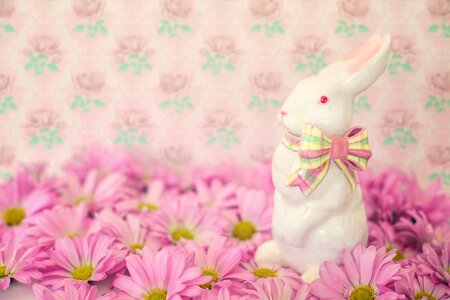 Daisies pink easter bunny photo
