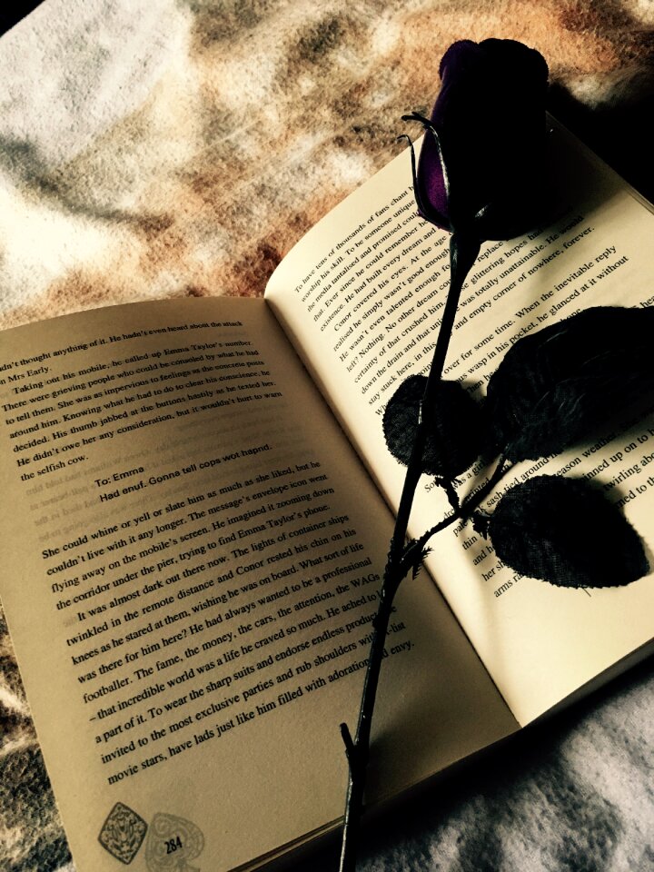 Pages book one brown rose