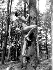 Van der Polls stiefdochter Hans klimt in een boom in een bos op de Veluwe, Bestanddeelnr 189-0504 photo