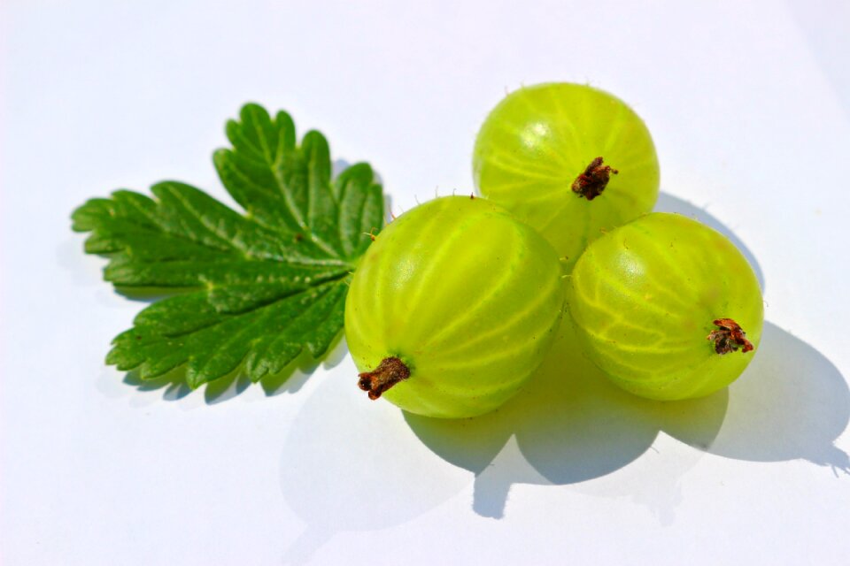 Leaf green berry