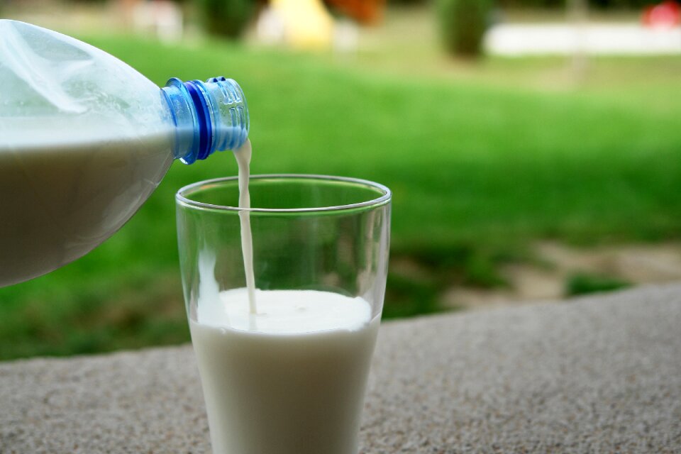 Goat milk product food