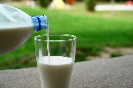 Goat milk product food