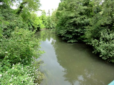 Vasseny (Aisne) la Vesle (01)