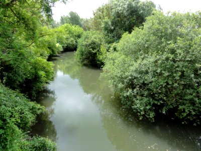 Vasseny (Aisne) la Vesle (02)