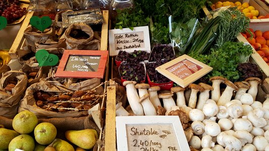 Bio mushrooms market